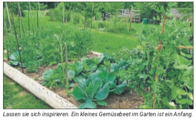 Gemüsegarten
