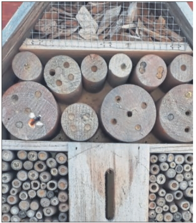 Insektenhotel